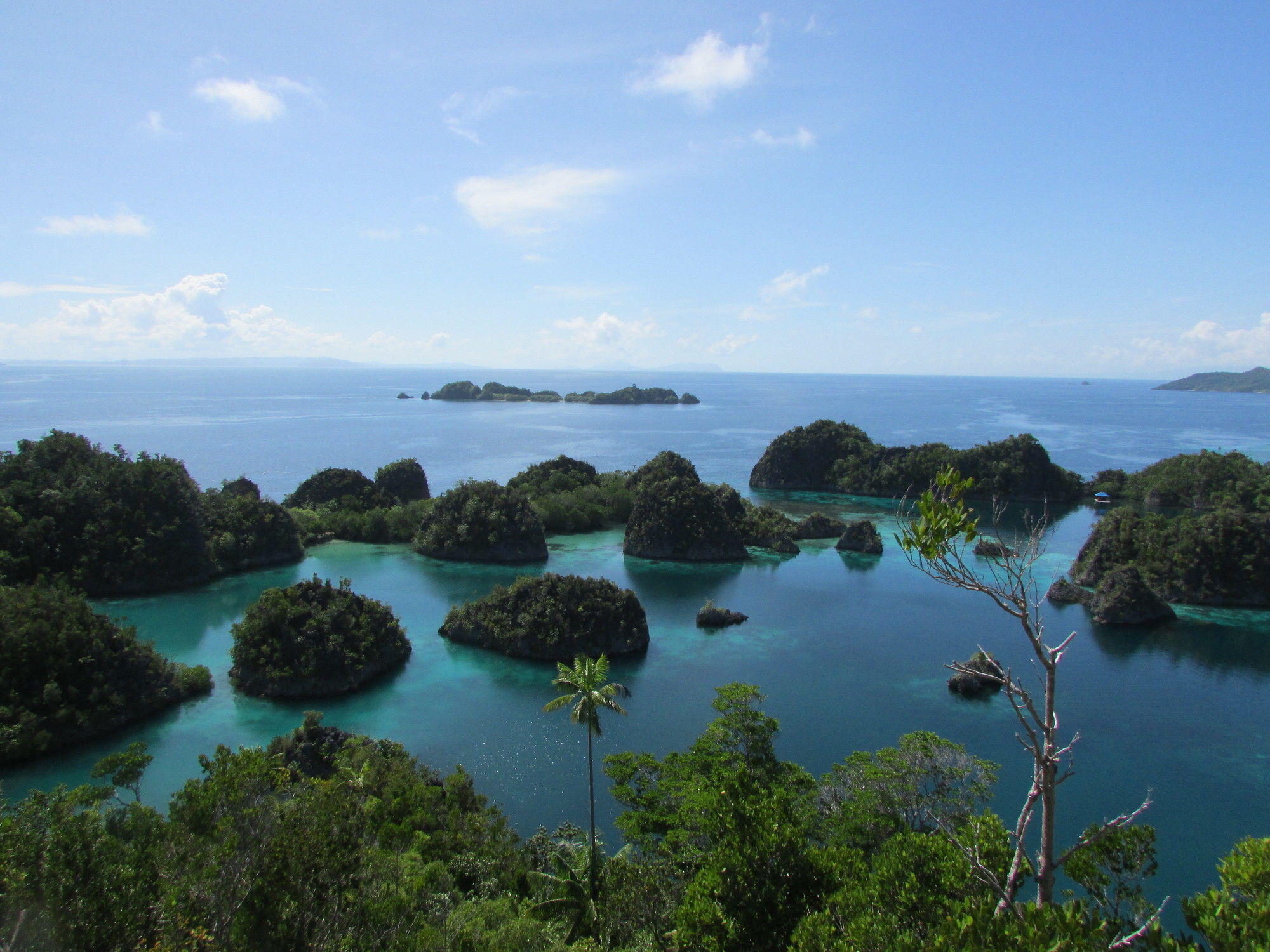 Swiss-Belhotel Sorong Εξωτερικό φωτογραφία